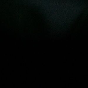 Meet your Posher, Shane